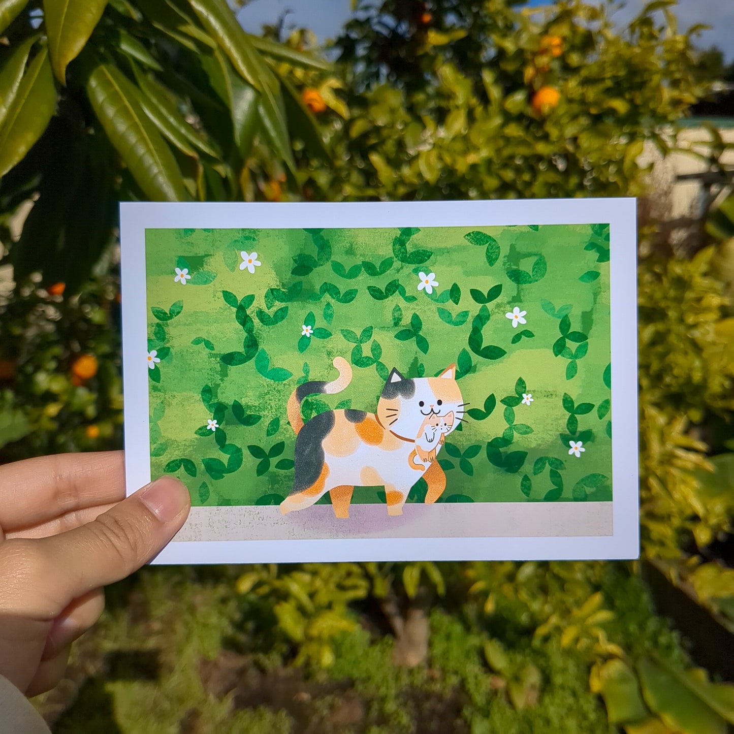 Mama Cat and her Kitten A6 Print